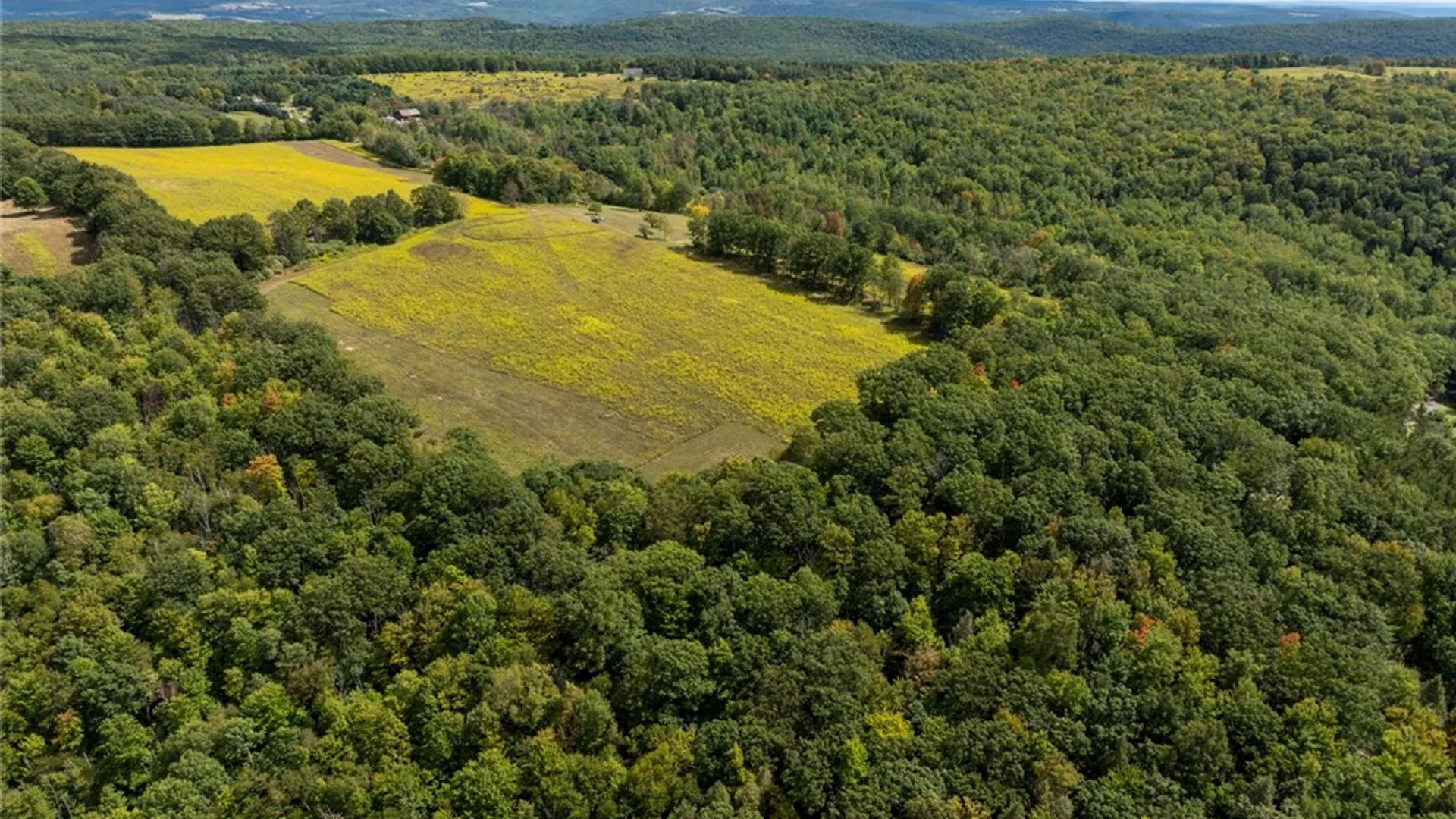 Property at 8015 Peacock Road, Bath, NY 14810 3