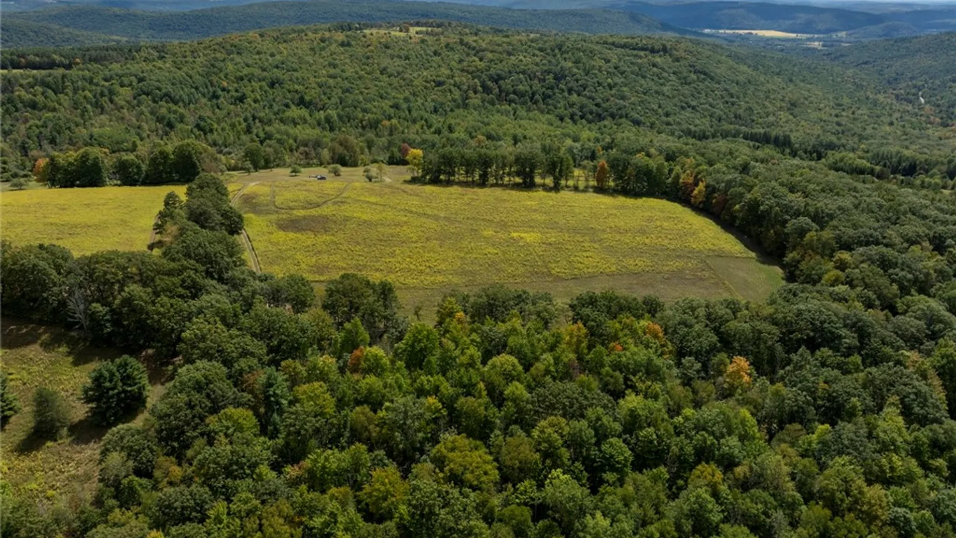 Property at 8015 Peacock Road, Bath, NY 14810 4