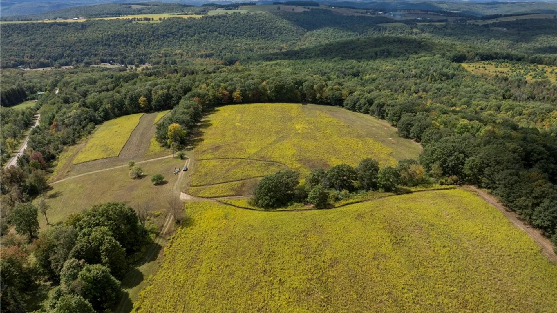 Property at 8015 Peacock Road, Bath, NY 14810 6