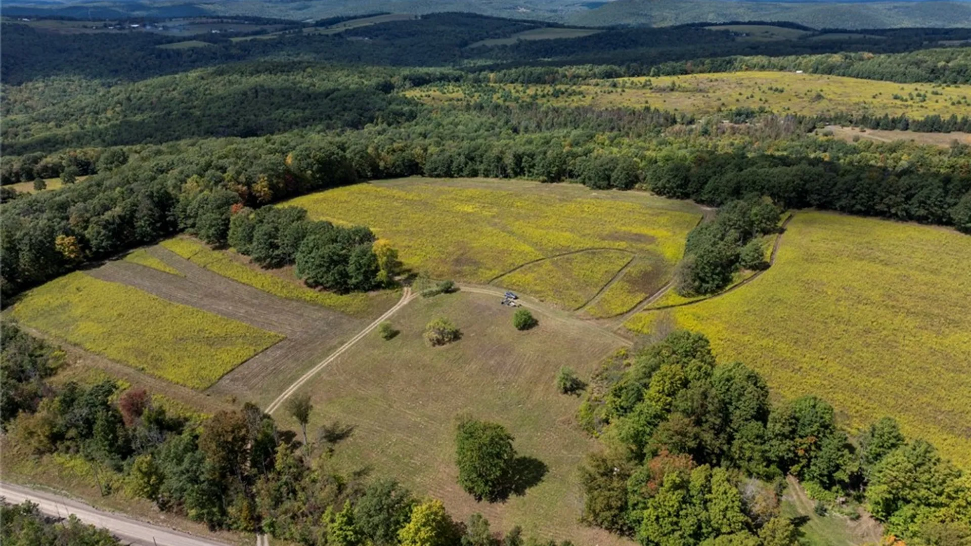 Property at 8015 Peacock Road, Bath, NY 14810 7