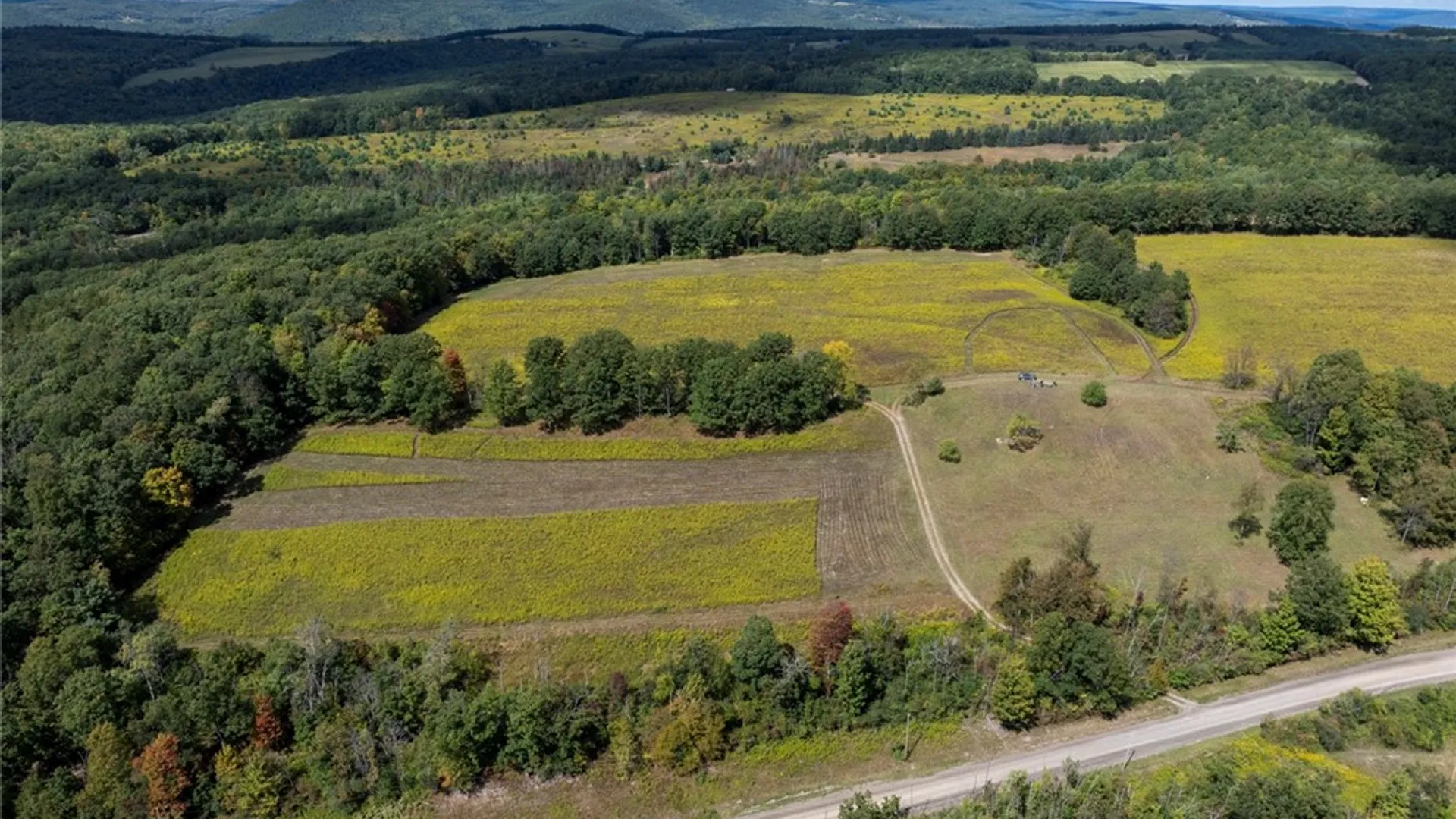 Property at 8015 Peacock Road, Bath, NY 14810 8