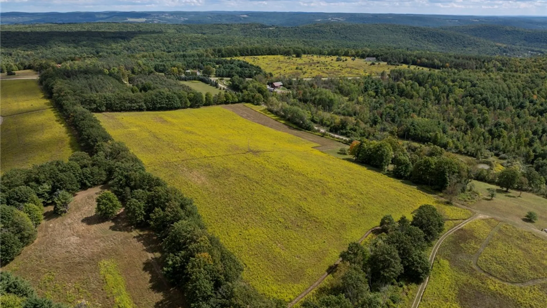 Property at 8015 Peacock Road, Urbana, NY 14810 6