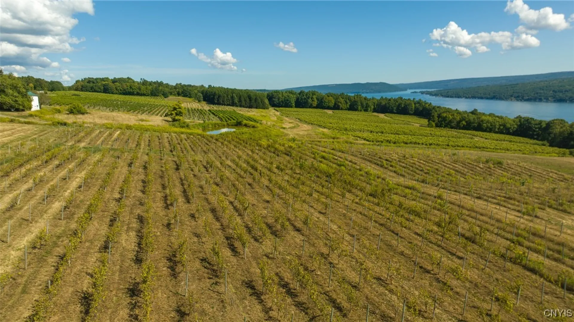 Property at 9008 (Lot B) County Route 76, Urbana, NY 14840 25