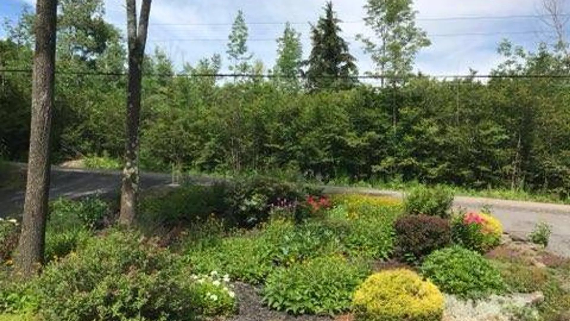 Property at 159 Toles Hollow Rd, Conesville, NY 12076 29