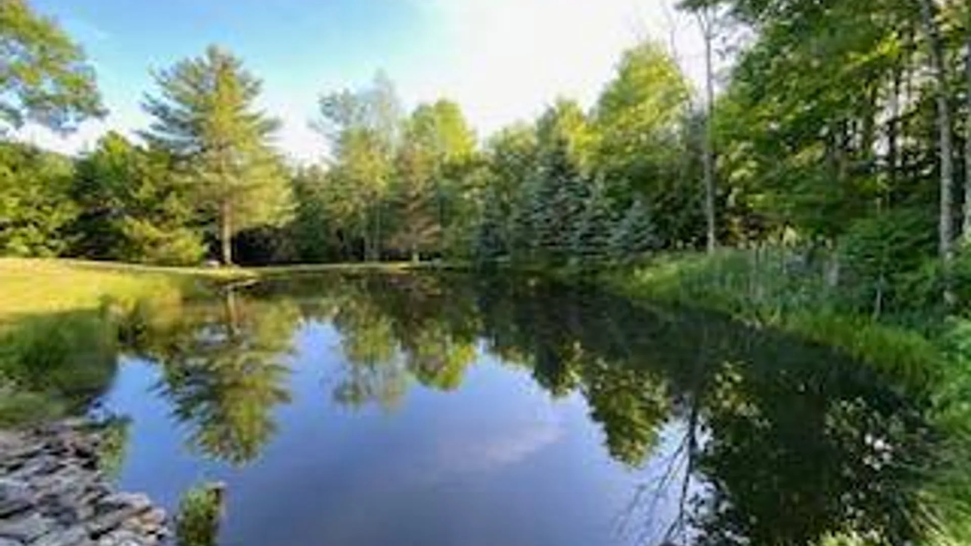 Property at 159 Toles Hollow Rd, Conesville, NY 12076 3