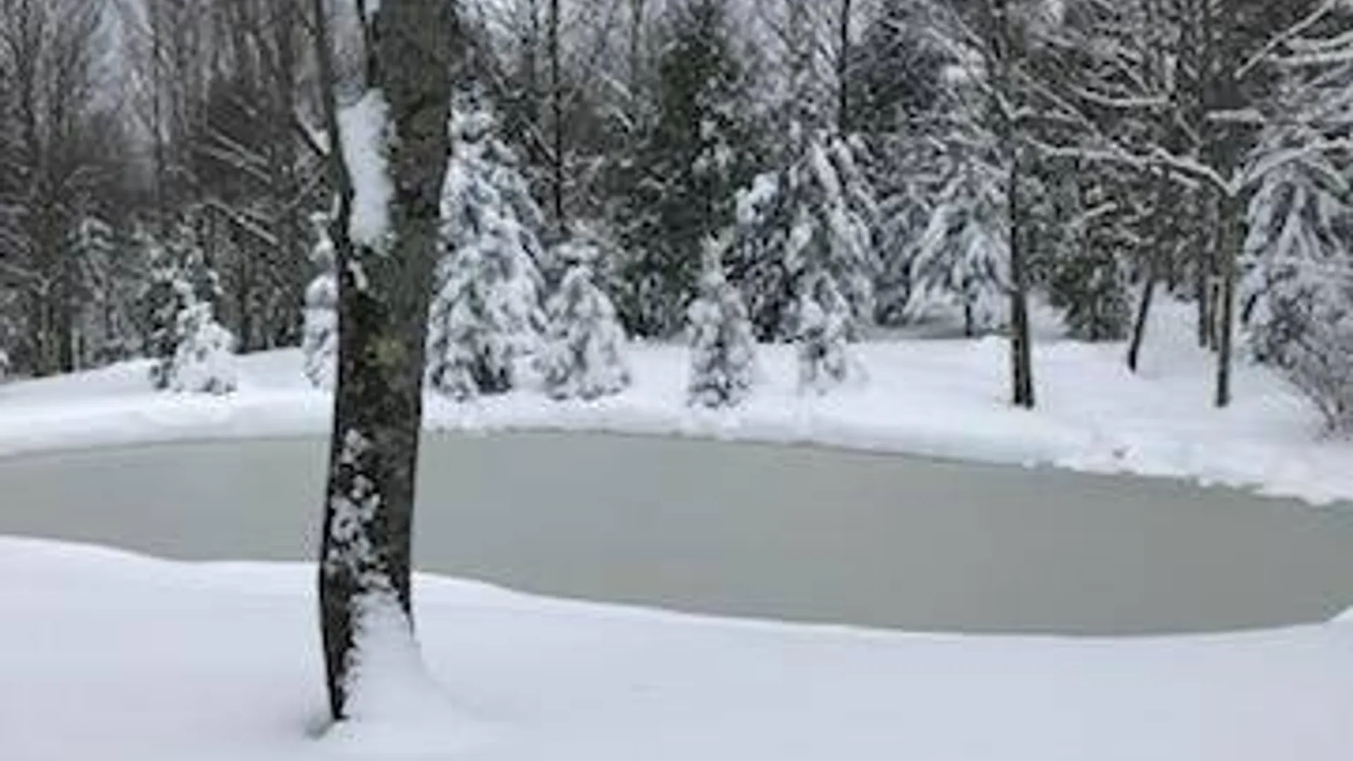 Property at 159 Toles Hollow Rd, Conesville, NY 12076 35