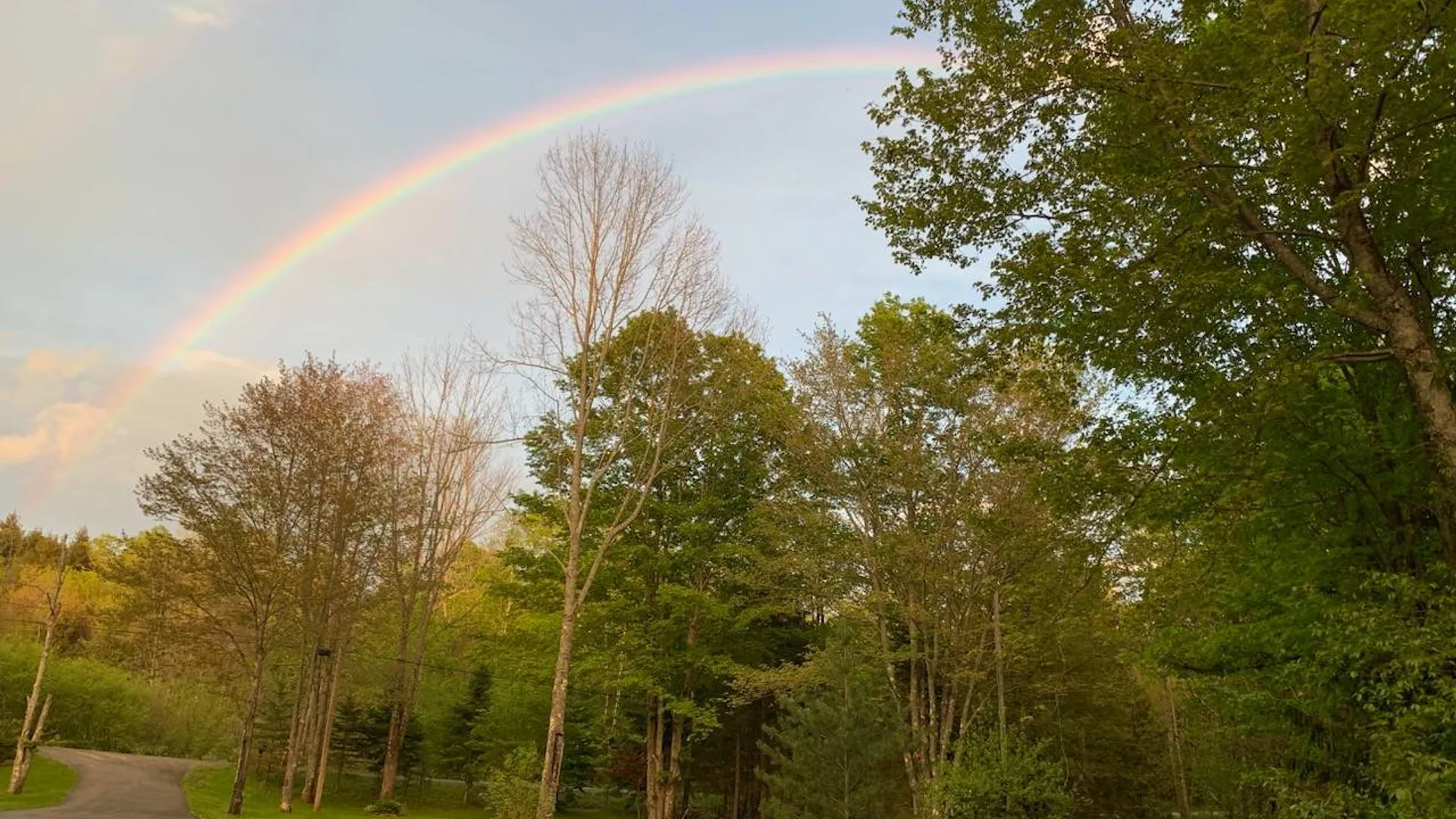 Property at 159 Toles Hollow Rd, Conesville, NY 12076 4