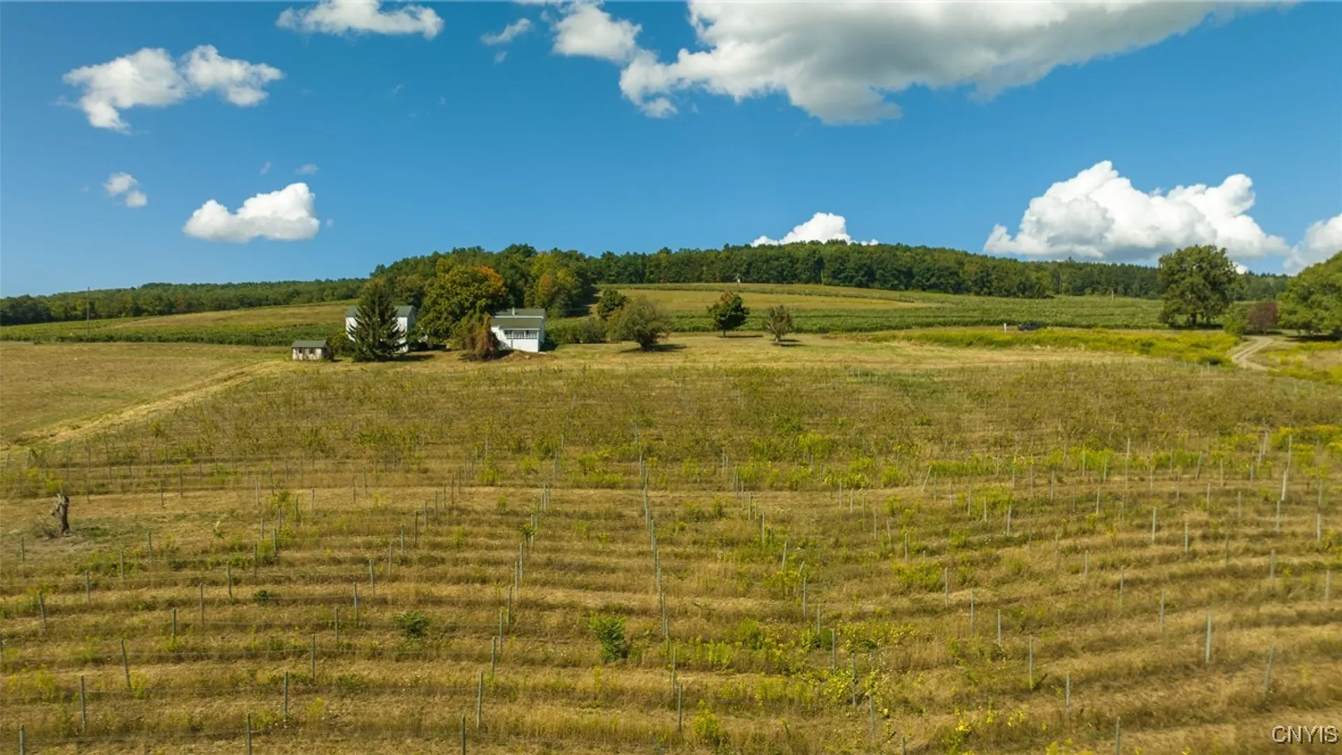 Property at 9008 (Lot B) County Route 76, Urbana, NY 14840 17