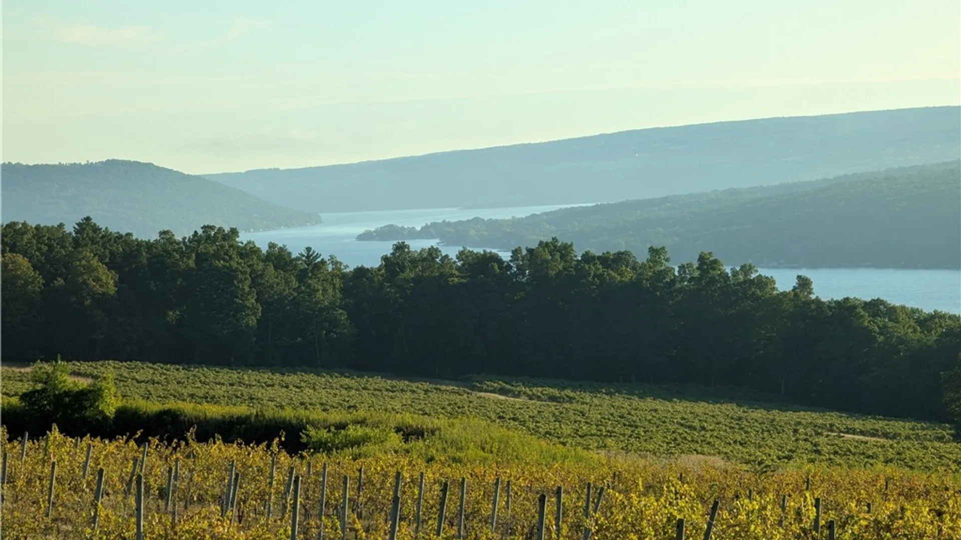 Property at 9008 (Lot B) County Route 76, Urbana, NY 14840 19