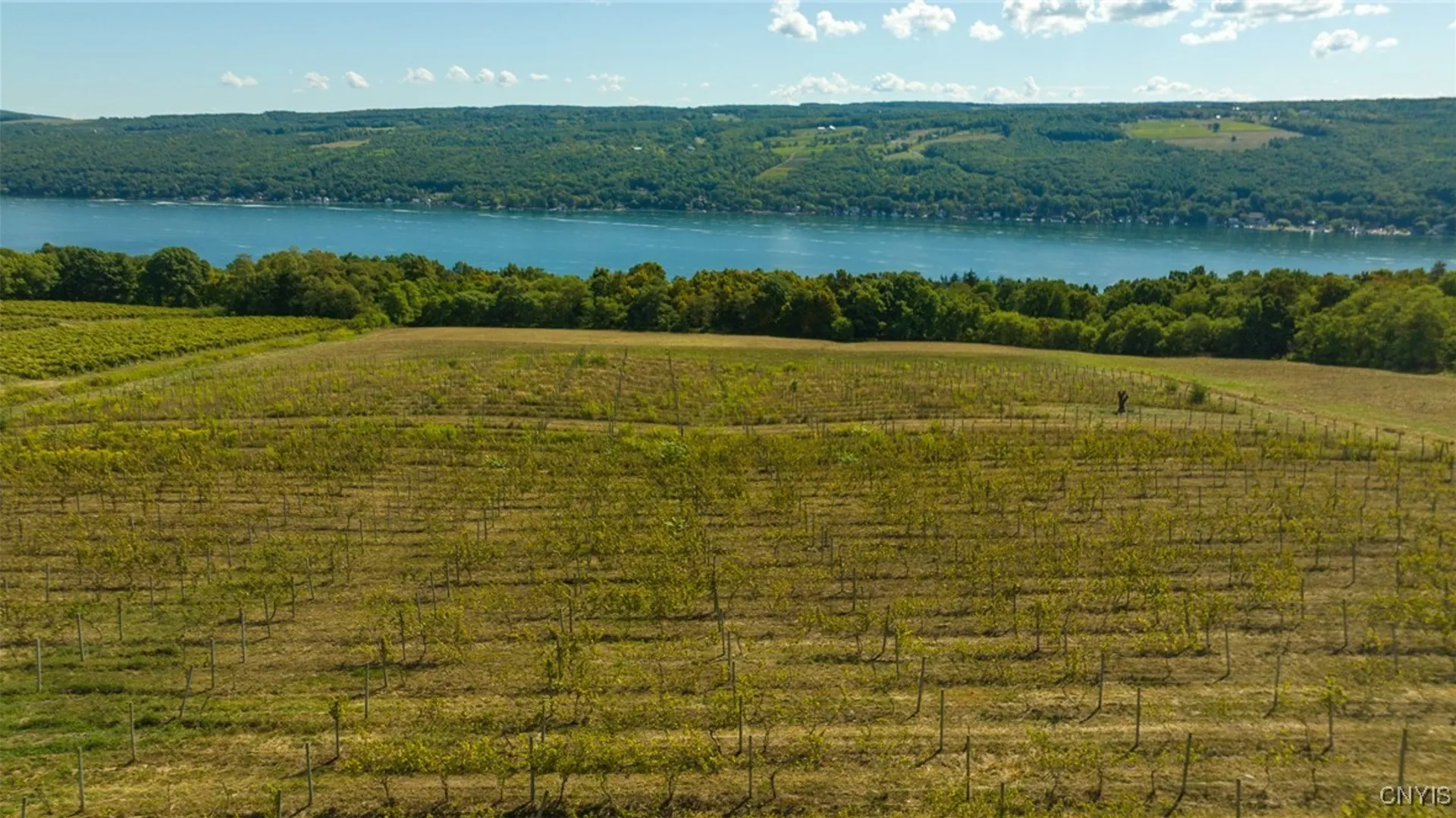 Property at 9008 (Lot B) County Route 76, Urbana, NY 14840 2