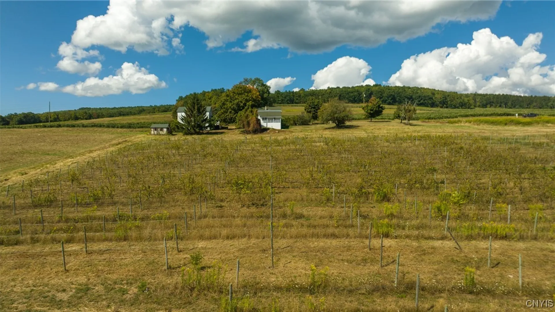 Property at 9008 (Lot B) County Route 76, Urbana, NY 14840 21