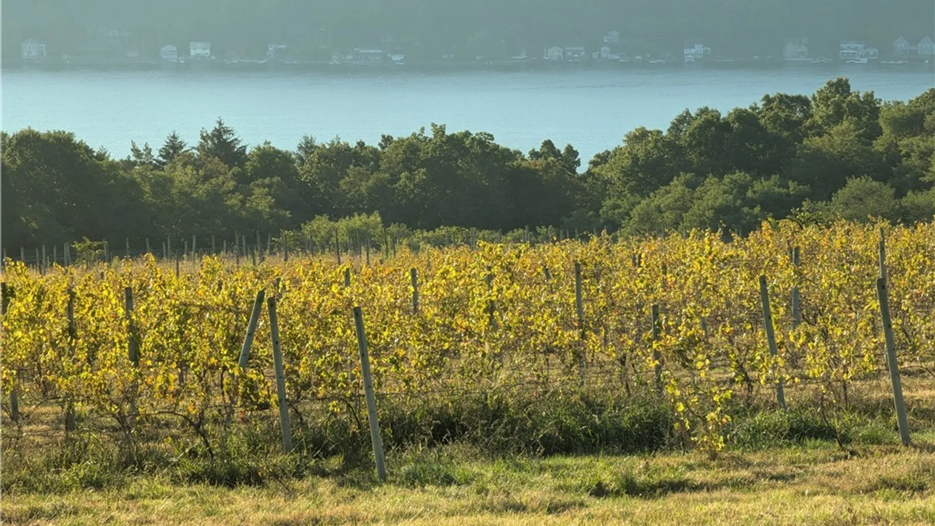 Property at 9008 (Lot B) County Route 76, Urbana, NY 14840 22