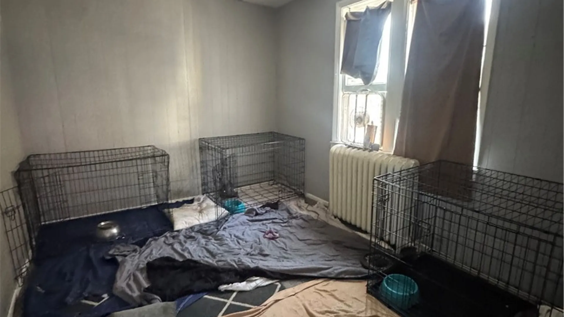 Property at 340 Clifford Avenue, Rochester, NY 14621 10