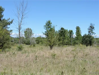 Property at VL 122 Sturgeon Point Road, Evans, NY 14047