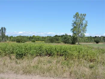Property at VL 121 Sturgeon Point Road, Evans, NY 14047
