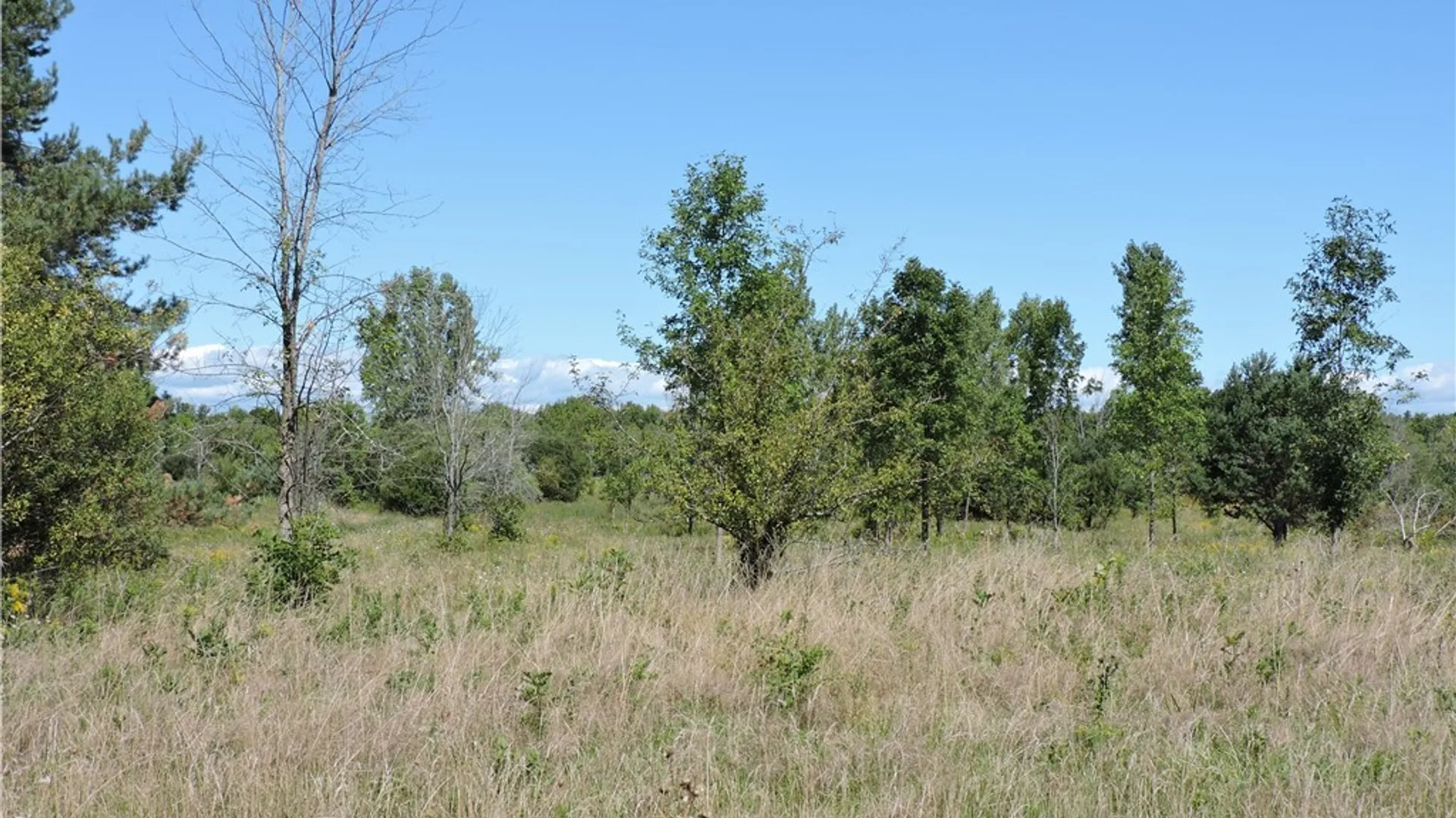 Property at VL 121 Sturgeon Point Road, Evans, NY 14047 2