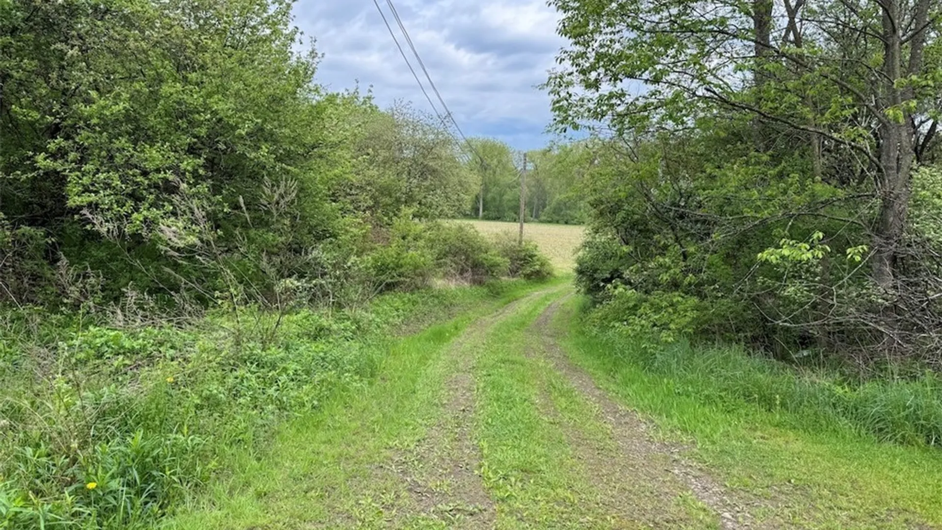 Property at 6610 Thomas Corners Road, Ashford, NY 14171 11