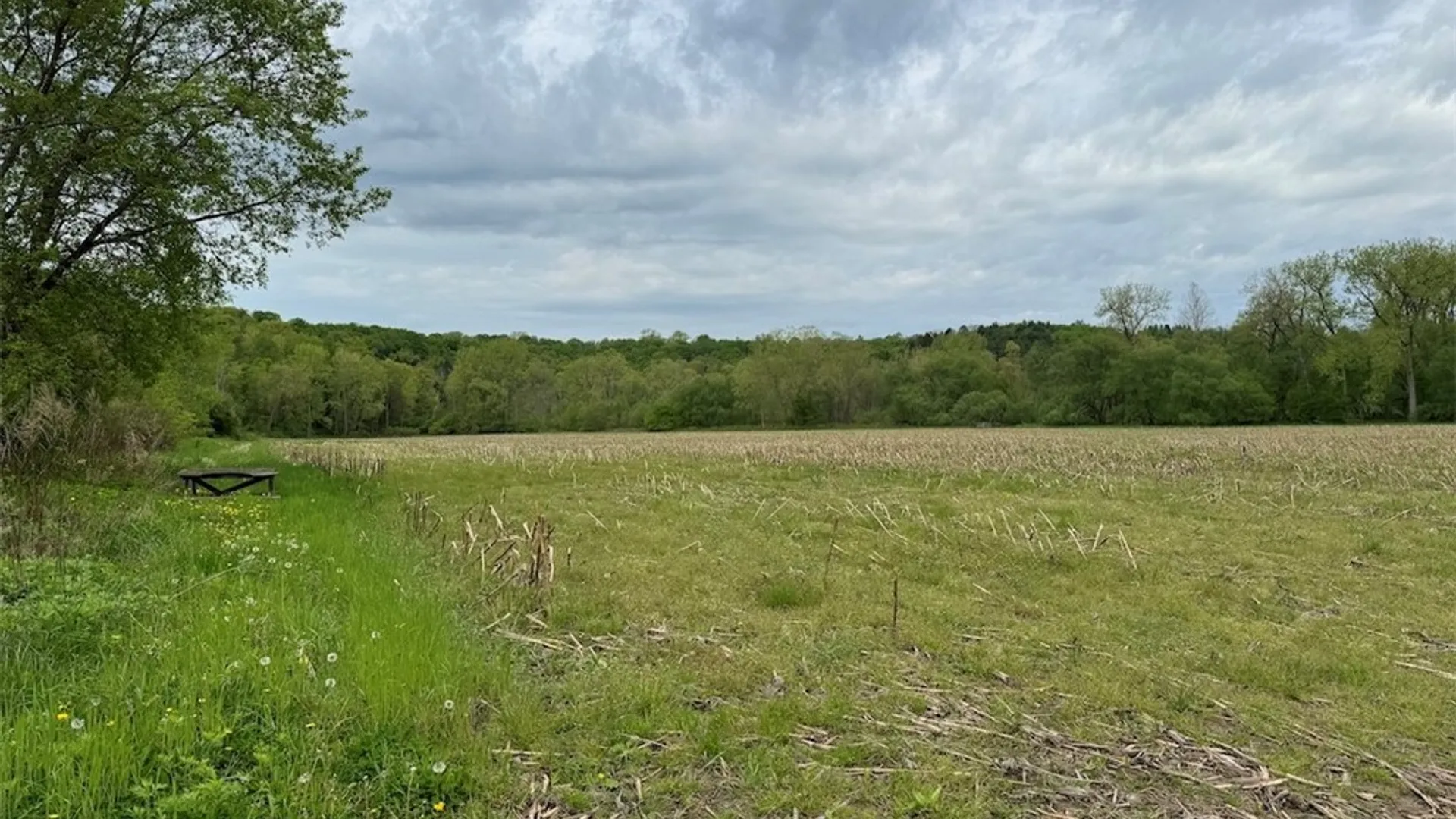 Property at 6610 Thomas Corners Road, Ashford, NY 14171 15