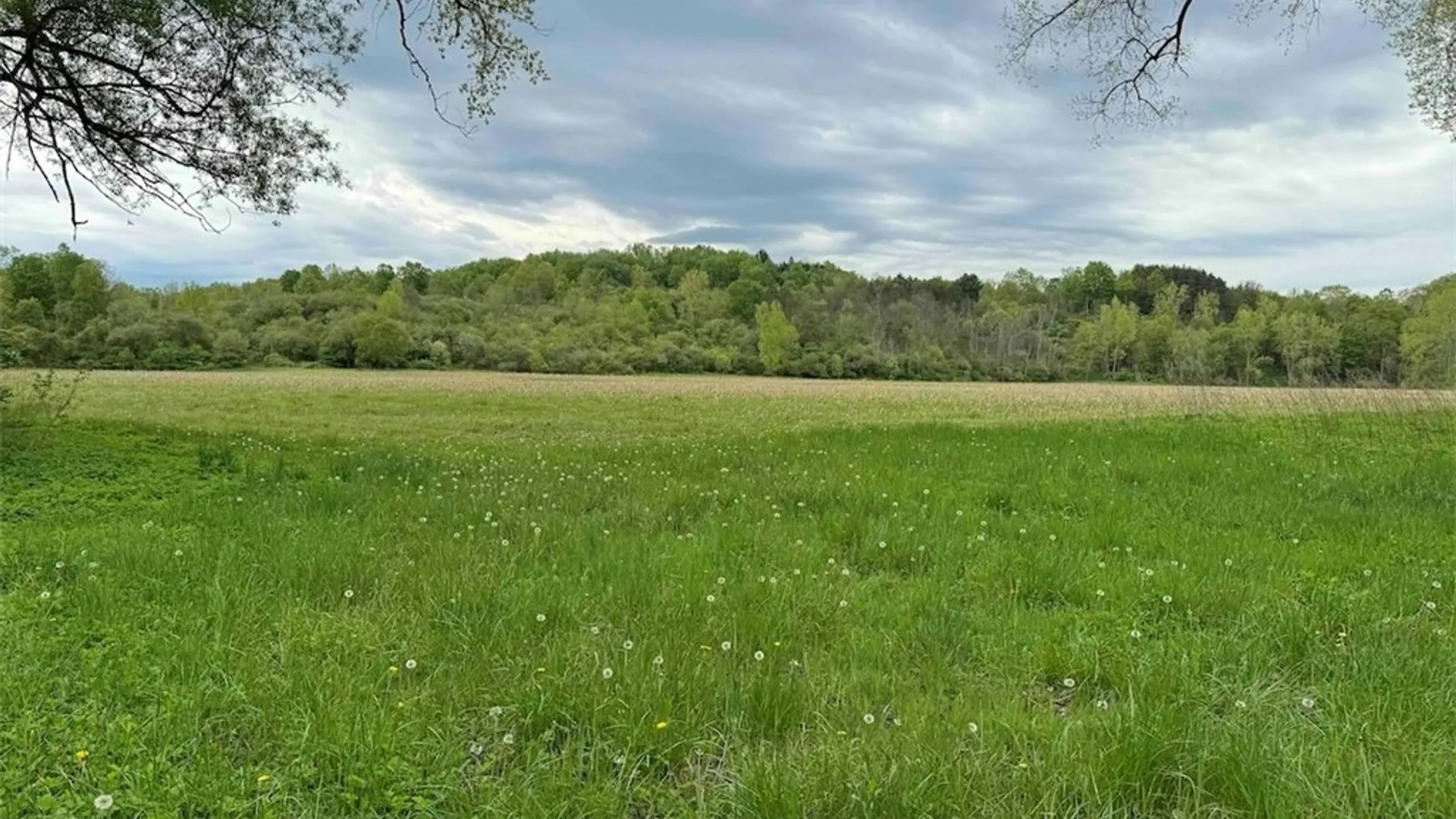 Property at 6610 Thomas Corners Road, Ashford, NY 14171 23