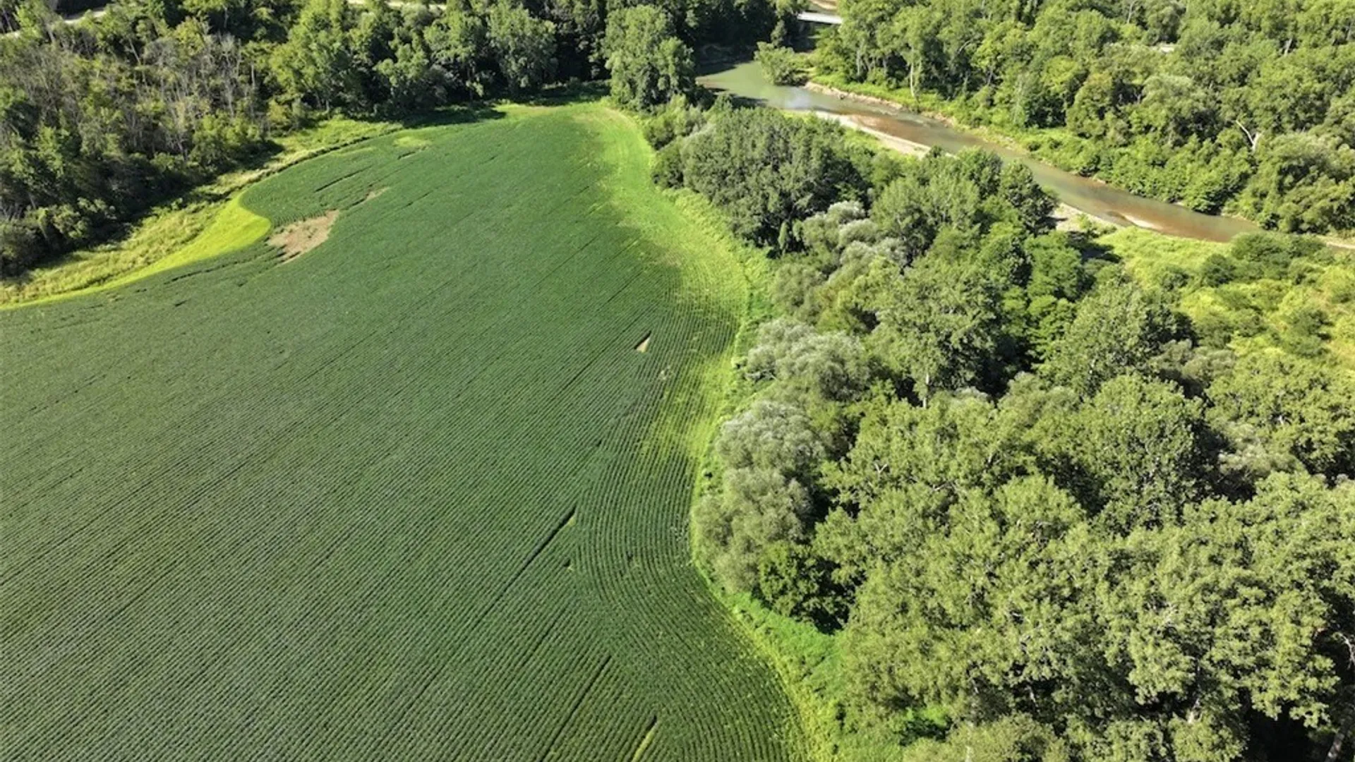 Property at 6610 Thomas Corners Road, Ashford, NY 14171 8