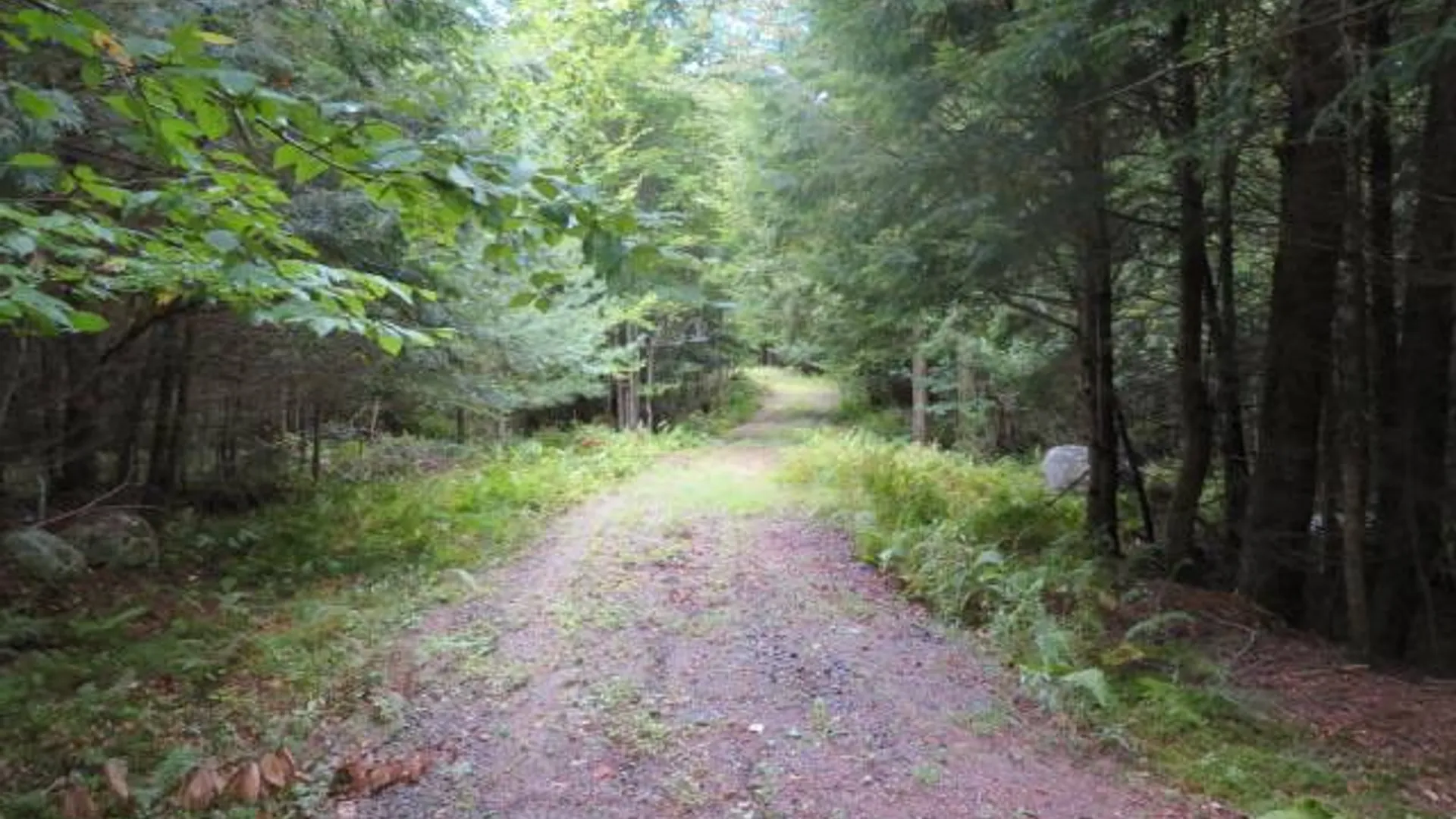 Property at 0 Emmonsburg Rd, Salisbury, NY 13365 10