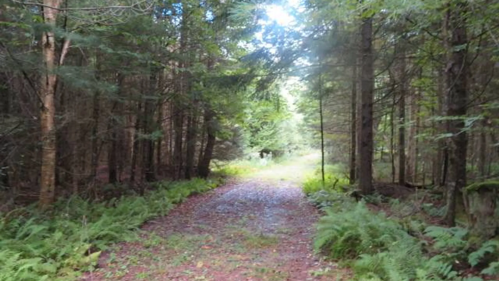 Property at 0 Emmonsburg Rd, Salisbury, NY 13365 11