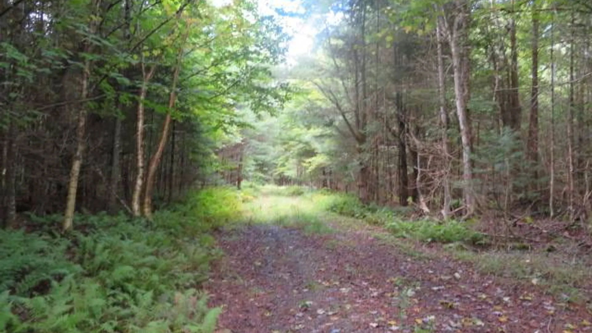 Property at 0 Emmonsburg Rd, Salisbury, NY 13365 12