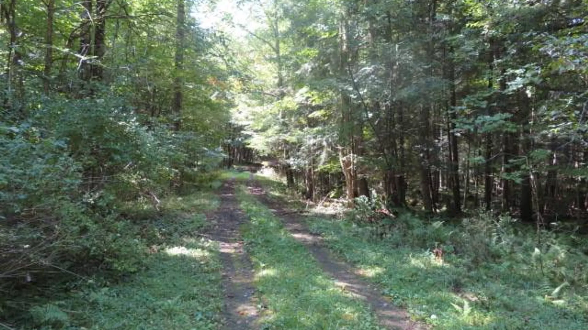 Property at 0 Emmonsburg Rd, Salisbury, NY 13365 13