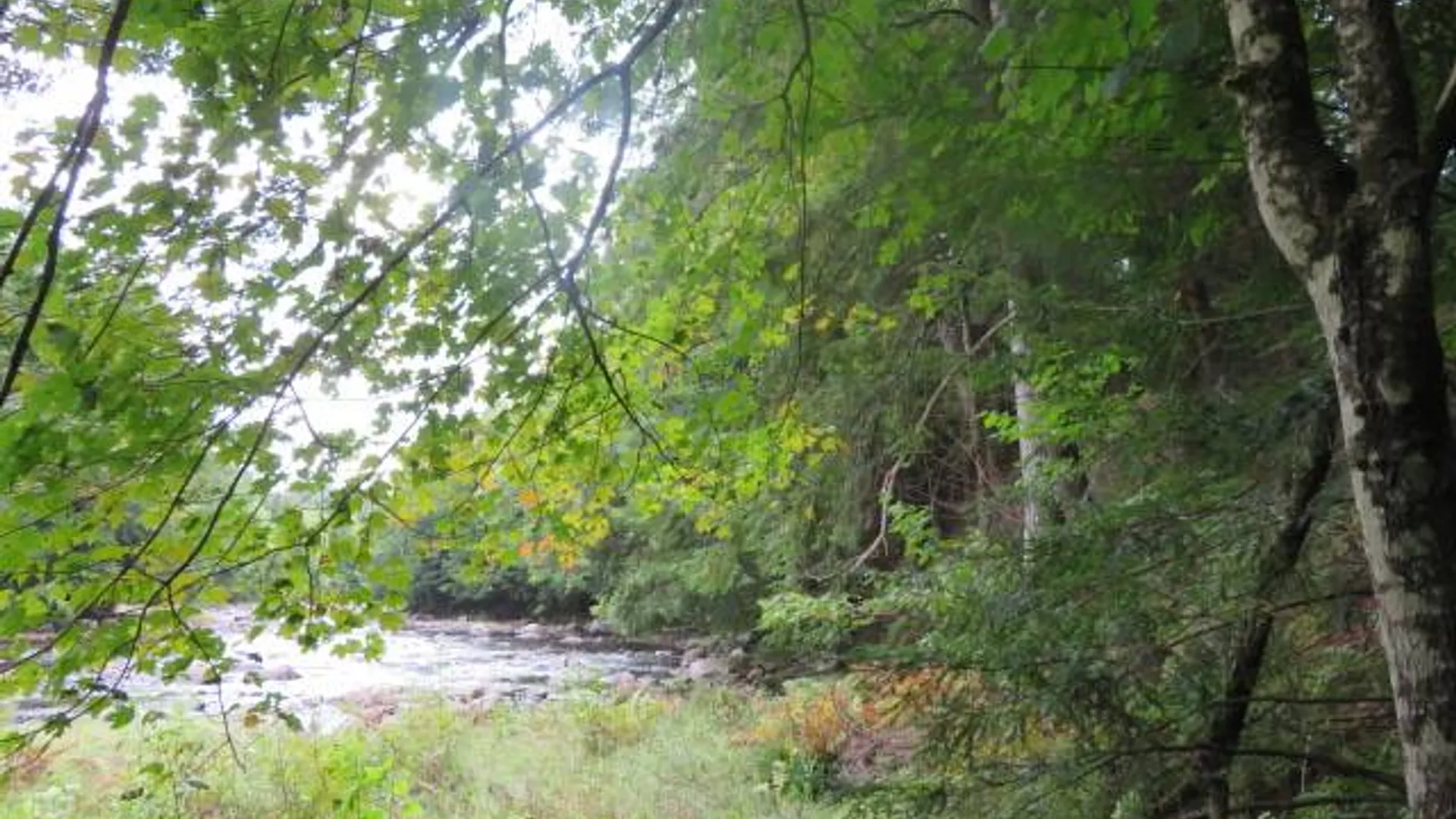 Property at 0 Emmonsburg Rd, Salisbury, NY 13365 2