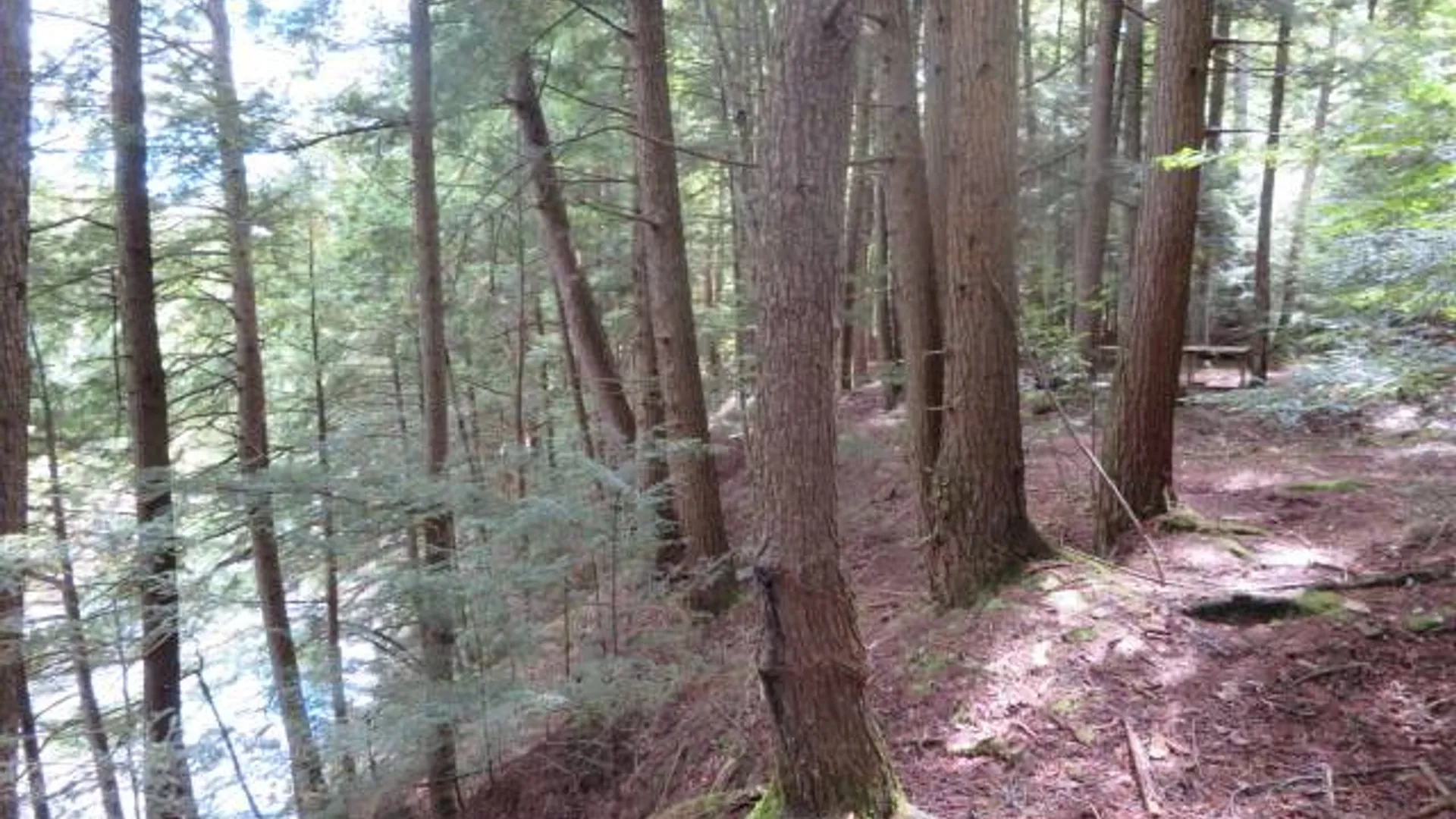 Property at 0 Emmonsburg Rd, Salisbury, NY 13365 5