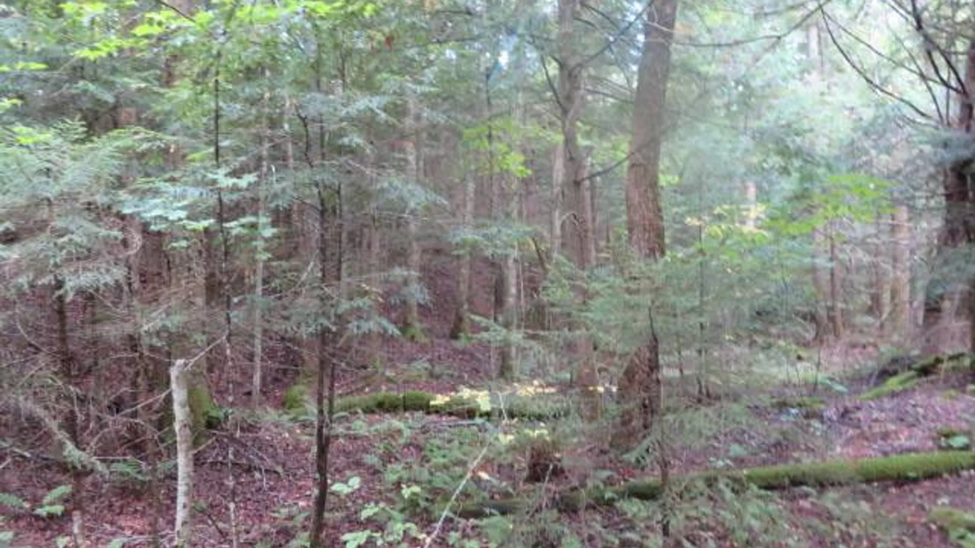 Property at 0 Emmonsburg Rd, Salisbury, NY 13365 6