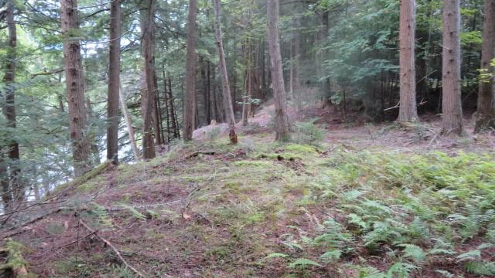 Property at 0 Emmonsburg Rd, Salisbury, NY 13365 7