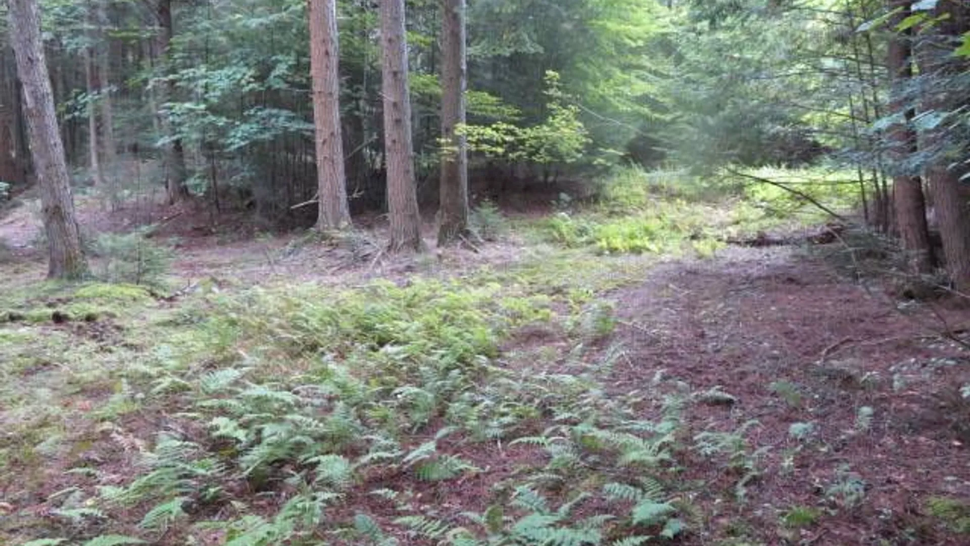 Property at 0 Emmonsburg Rd, Salisbury, NY 13365 9