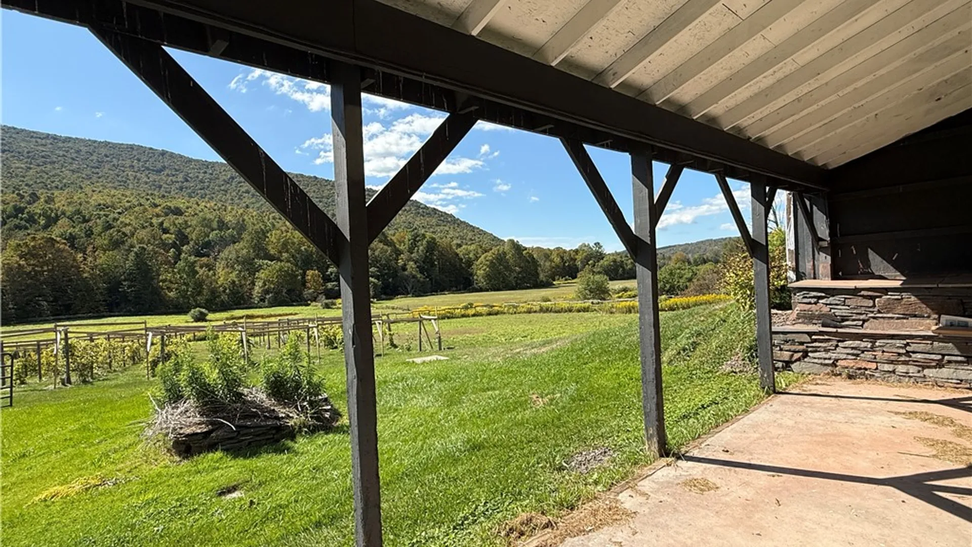 Property at 5574 County Highway 36, Roxbury, NY 12474 12