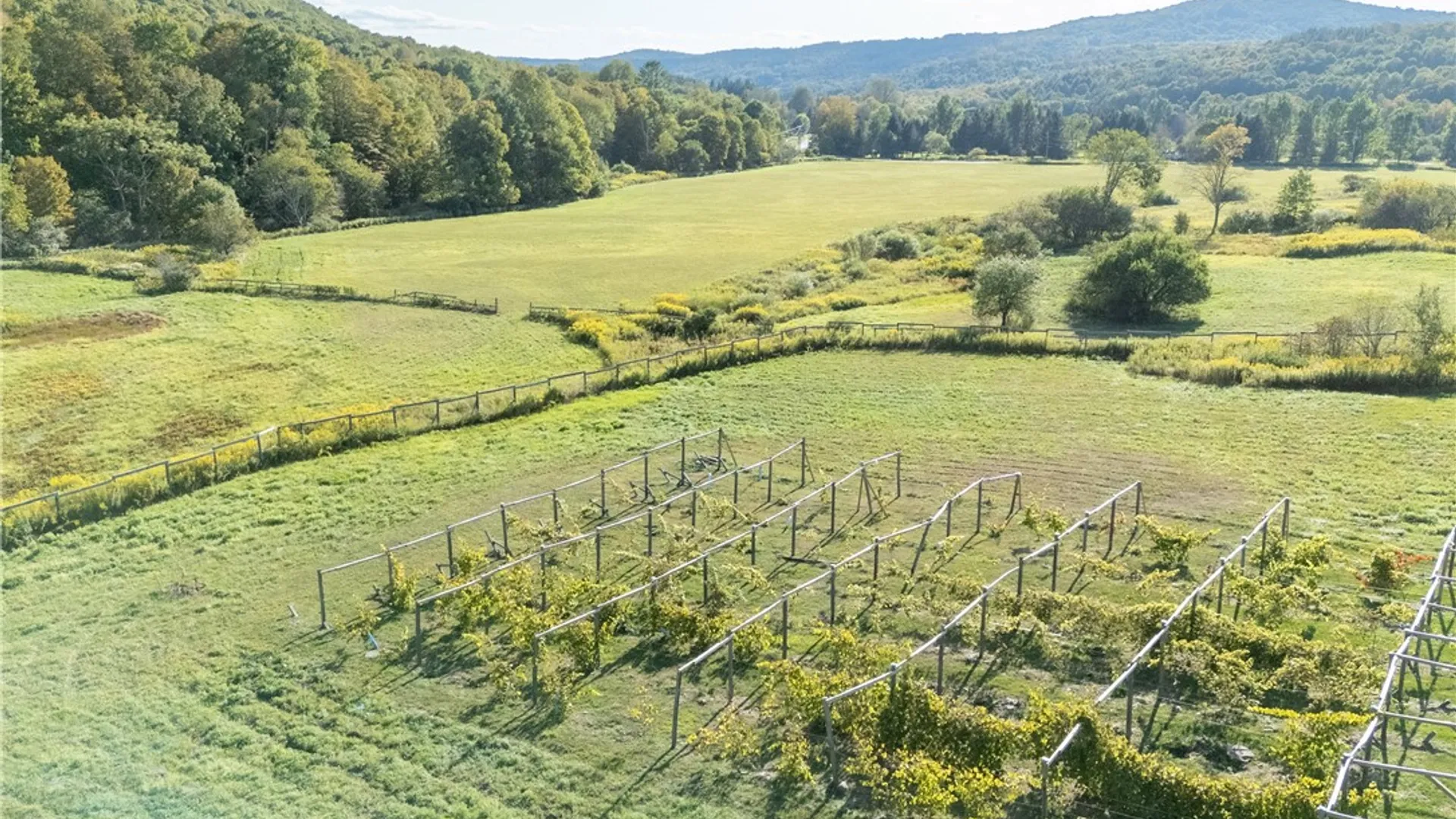 Property at 5574 County Highway 36, Roxbury, NY 12474 13