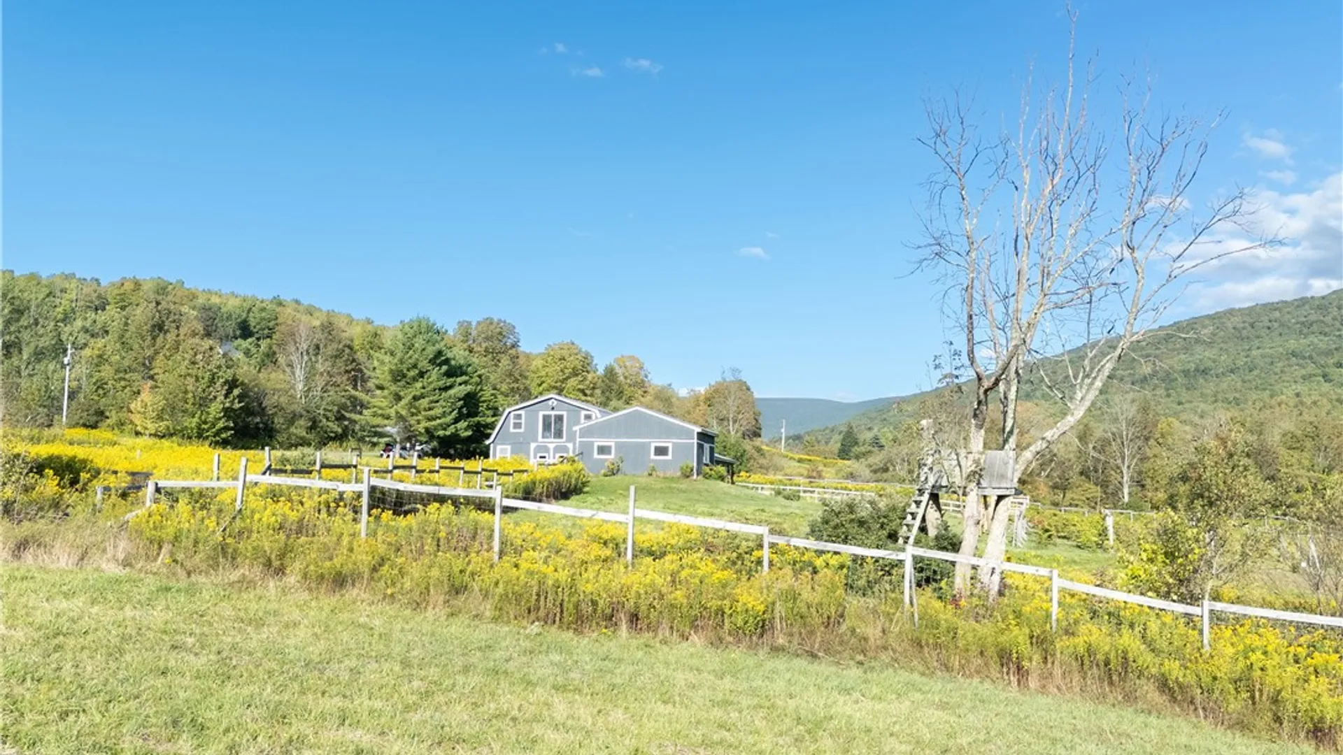 Property at 5574 County Highway 36, Roxbury, NY 12474 28