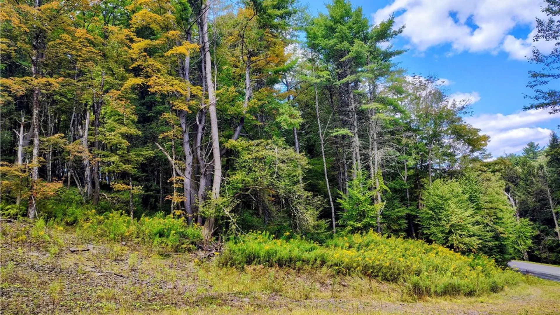 Property at 2592 County Highway 8, Otego, NY 13825 16