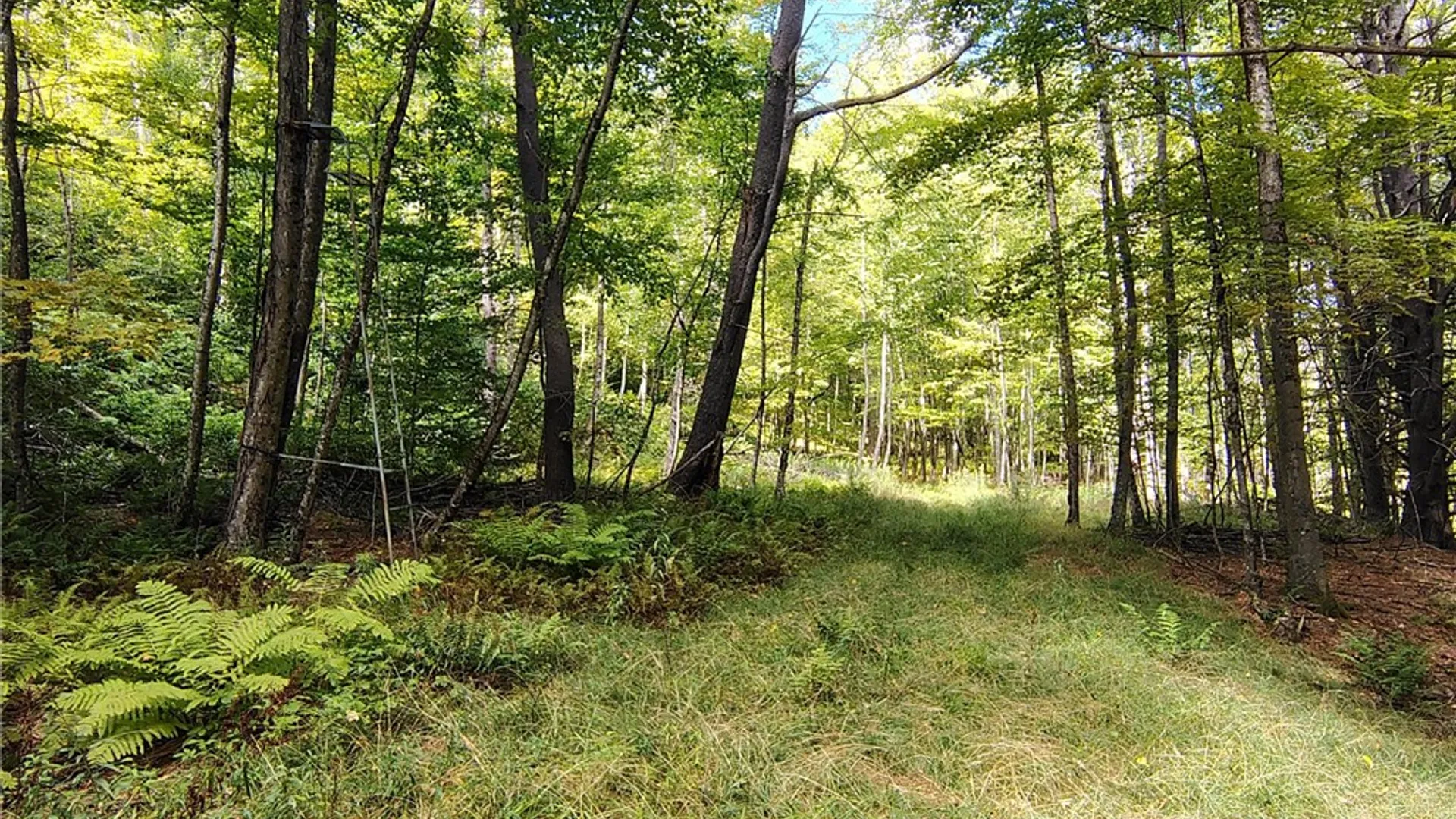 Property at 2592 County Highway 8, Otego, NY 13825 4