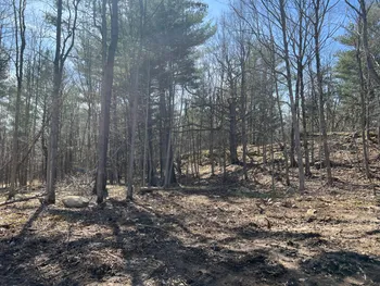 Property at 43 Woodland DR/Prvt, Hammond, NY 13662