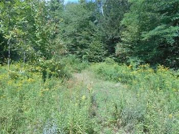 Property at 0 Cheeseman Hill Road, Freedom, NY 14065
