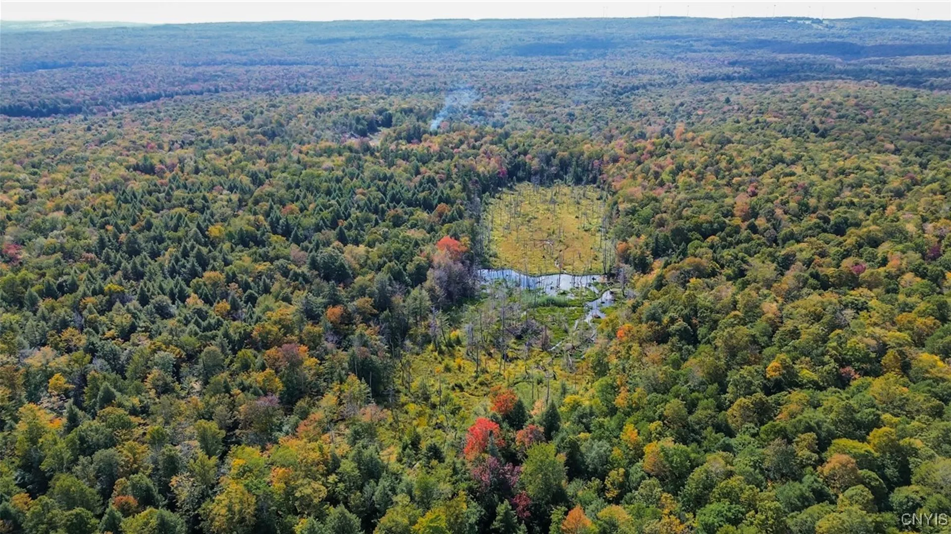 Property at 999 Jerseyfield Road, Salisbury, NY 13365 2