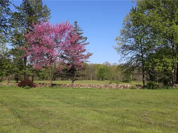 Property at 175 Works Road, Rush, NY 14472