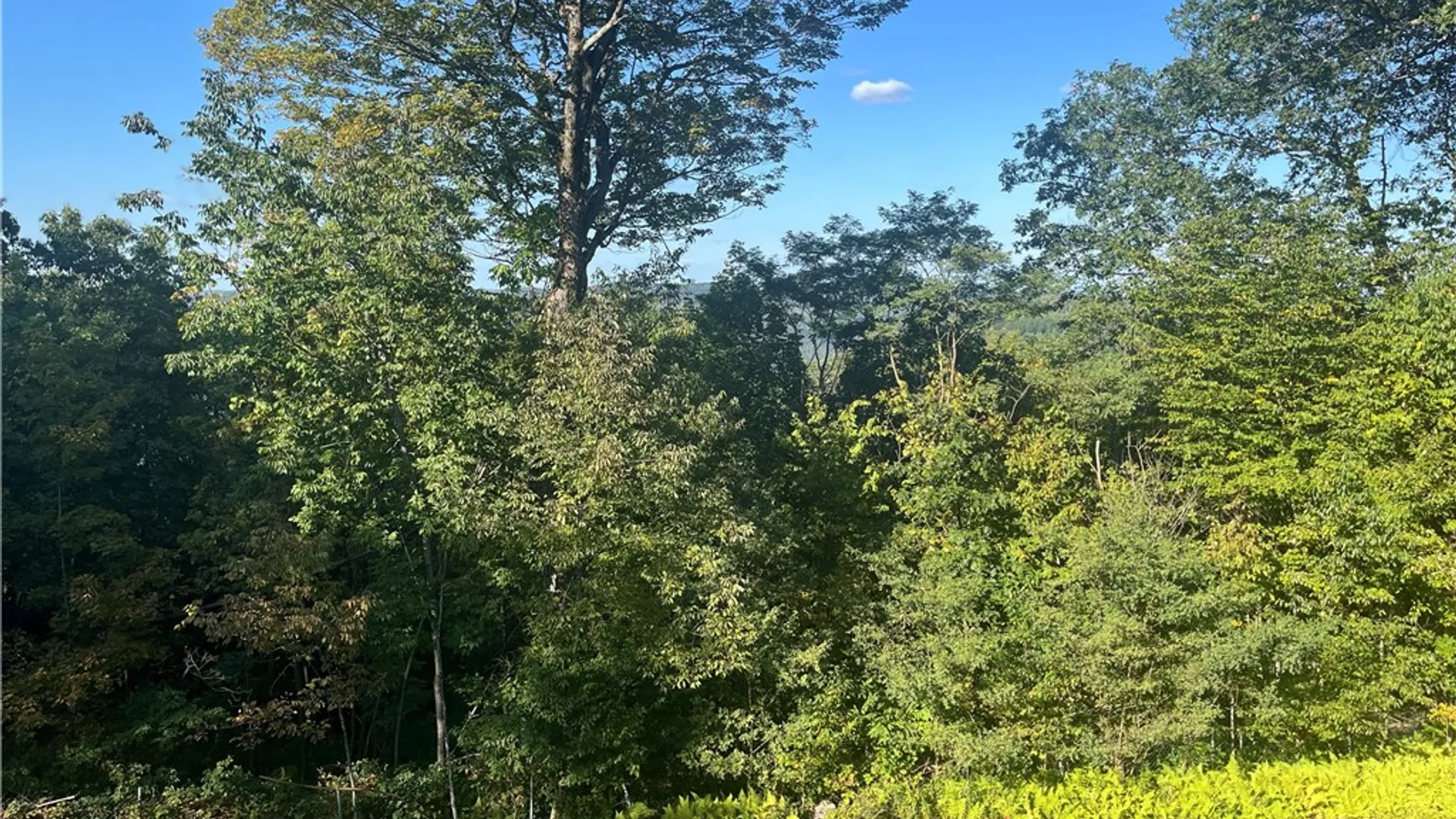 Property at 1657 Miller Drive, Walton, NY 13856 14