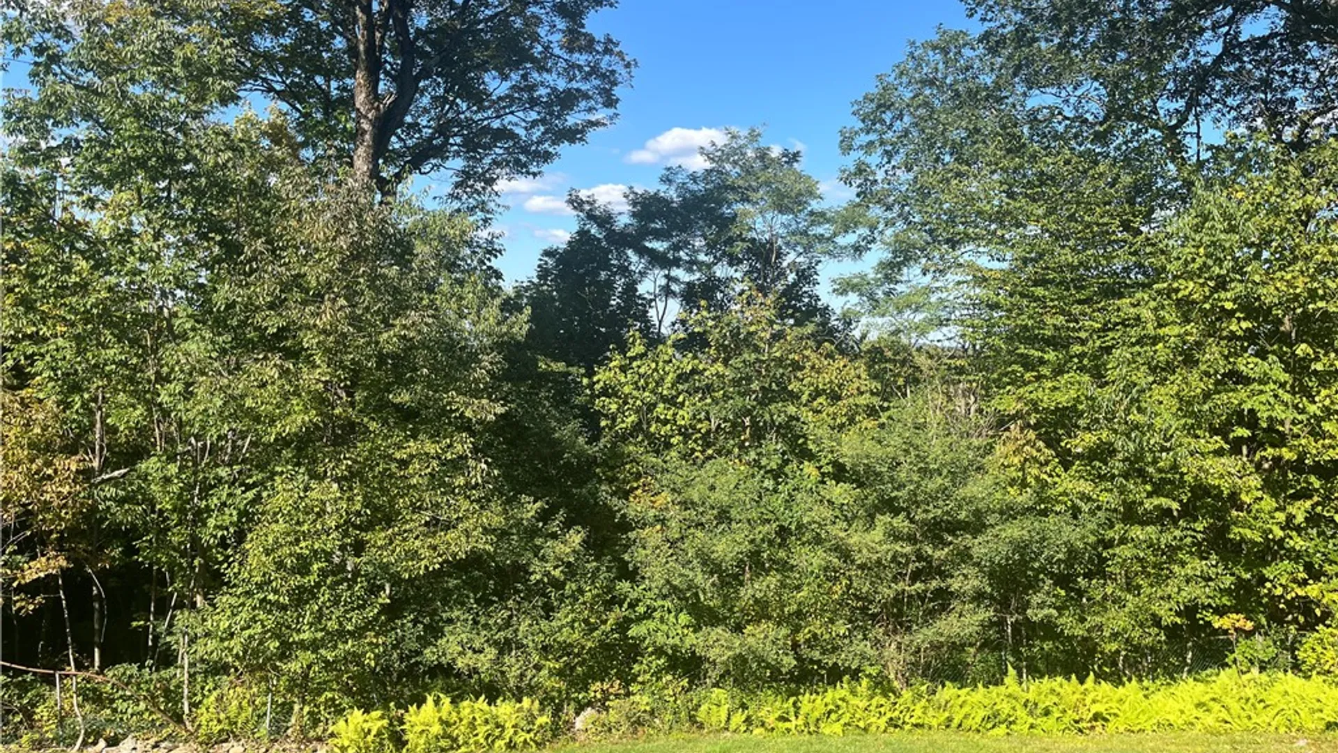 Property at 1657 Miller Drive, Walton, NY 13856 15