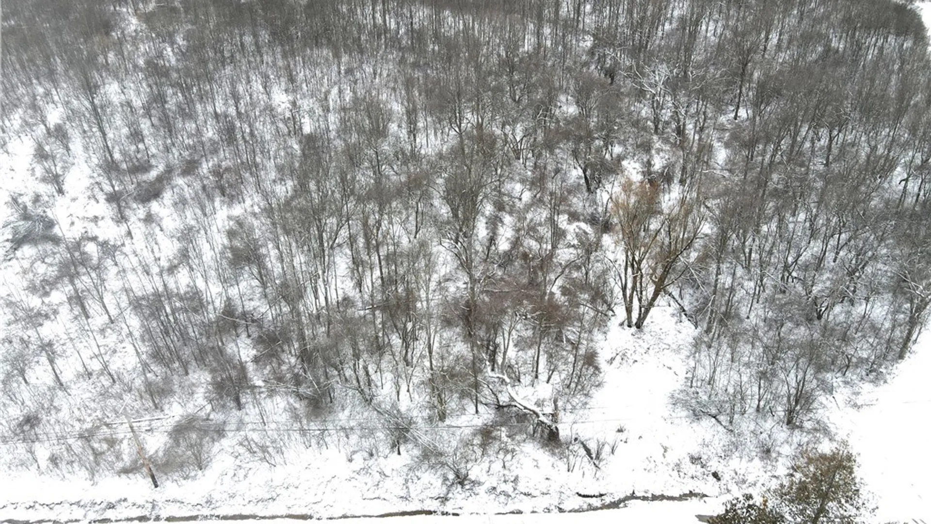 Property at Clark Hollow Road, Fabius, NY 13084 10
