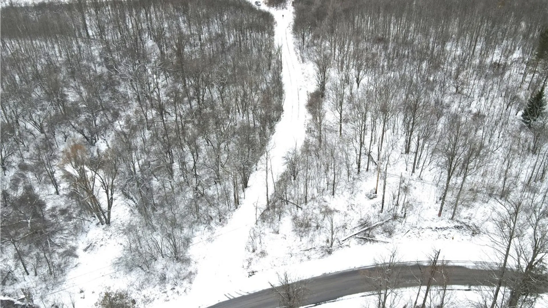 Property at Clark Hollow Road, Fabius, NY 13084 11
