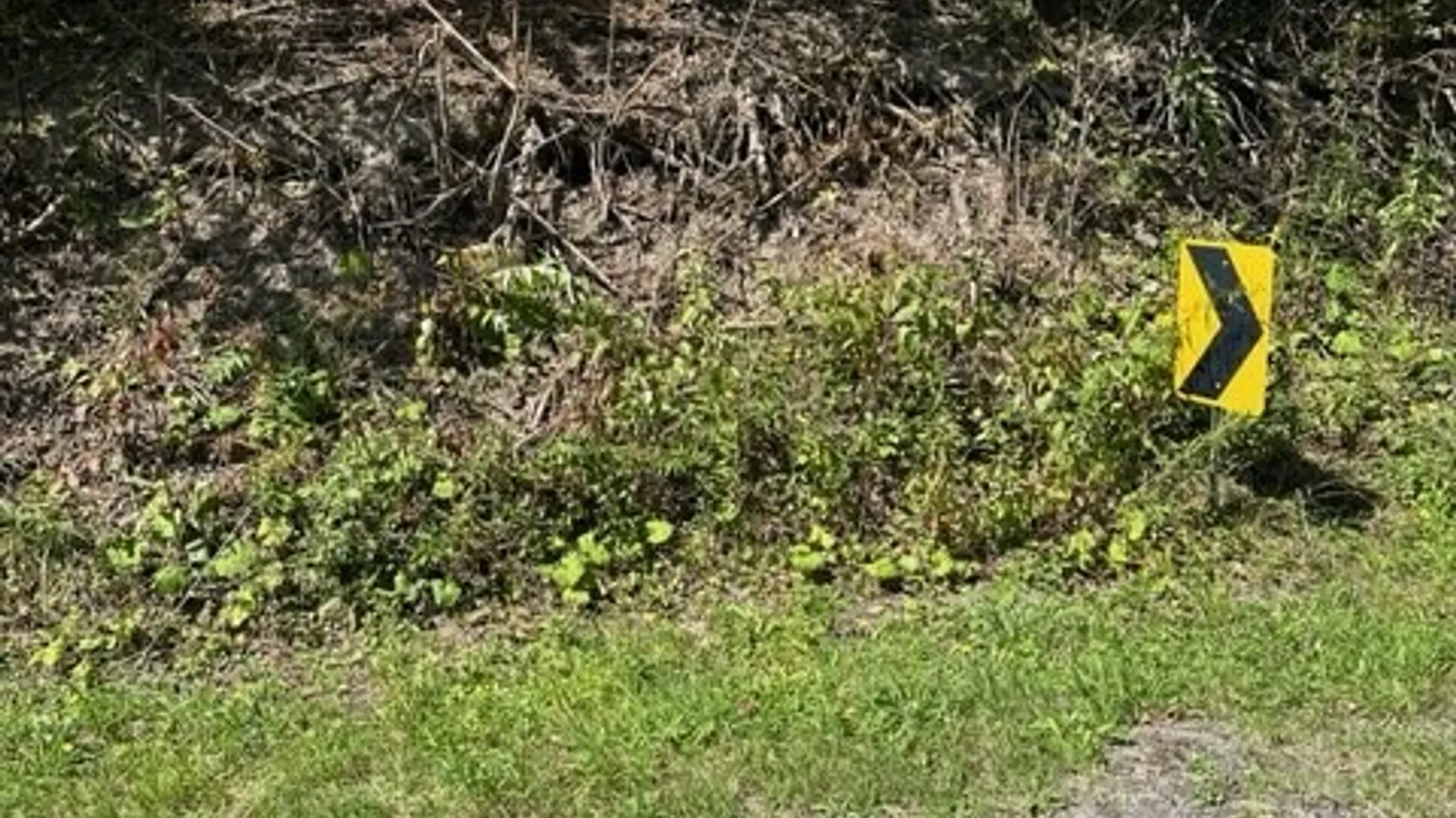 Property at Clark Hollow Road, Fabius, NY 13084 3