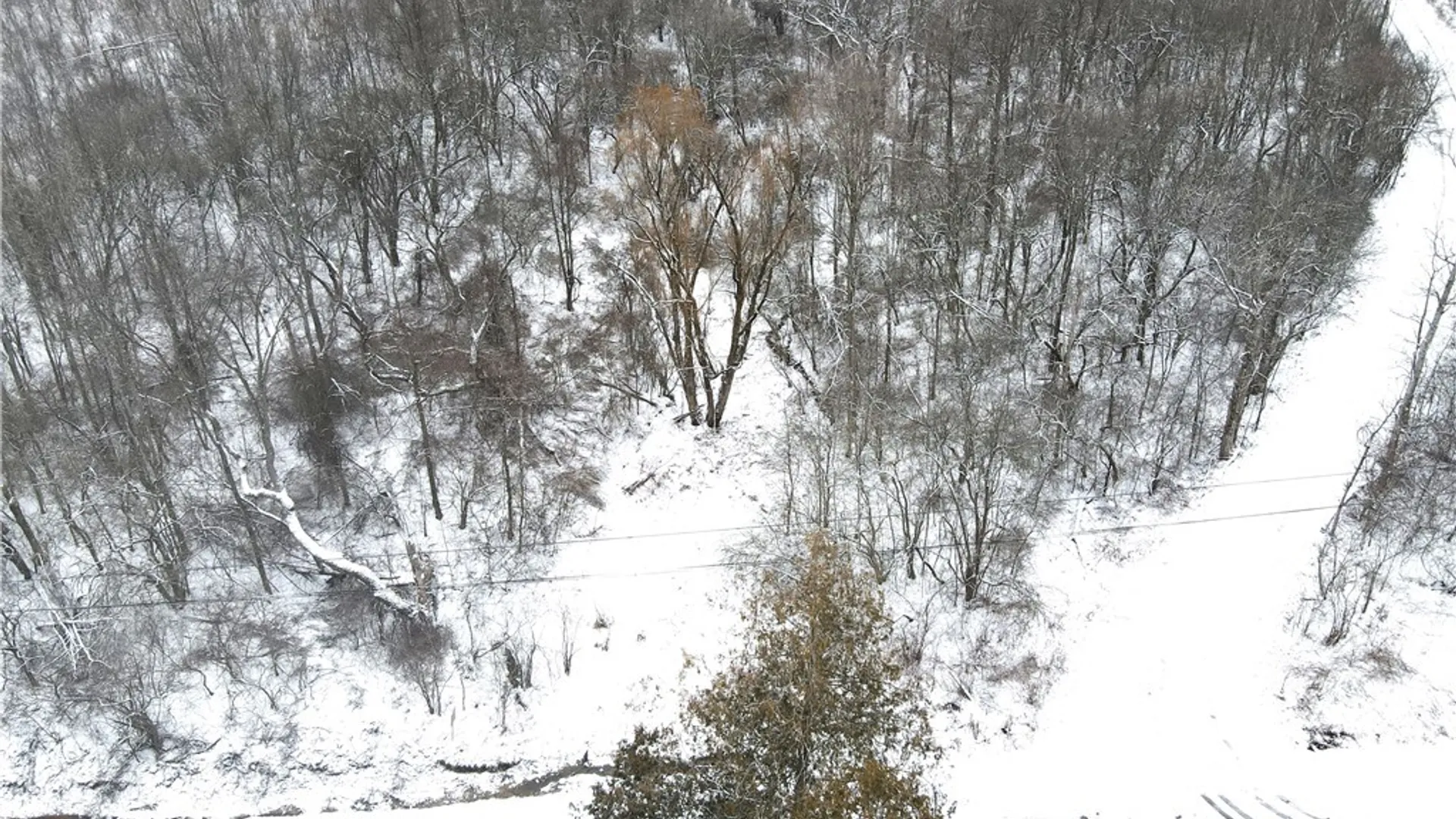 Property at Clark Hollow Road, Fabius, NY 13084 6