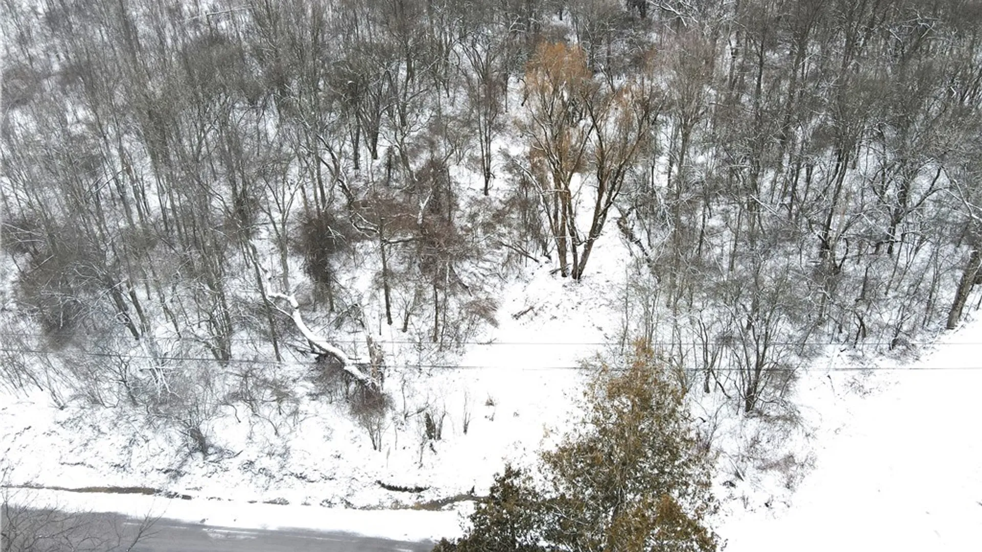 Property at Clark Hollow Road, Fabius, NY 13084 7