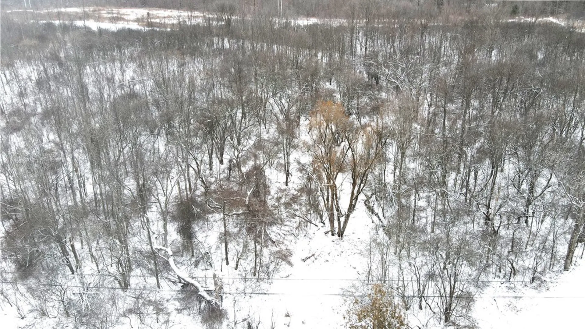 Property at Clark Hollow Road, Fabius, NY 13084 8